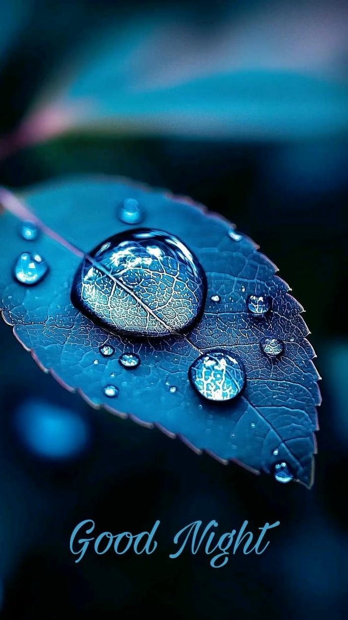 good night rainy day images