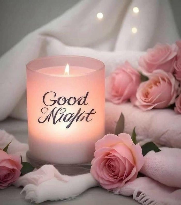 good night red rose flower