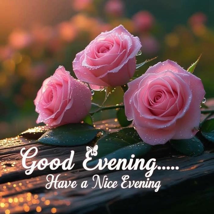 good nite rose