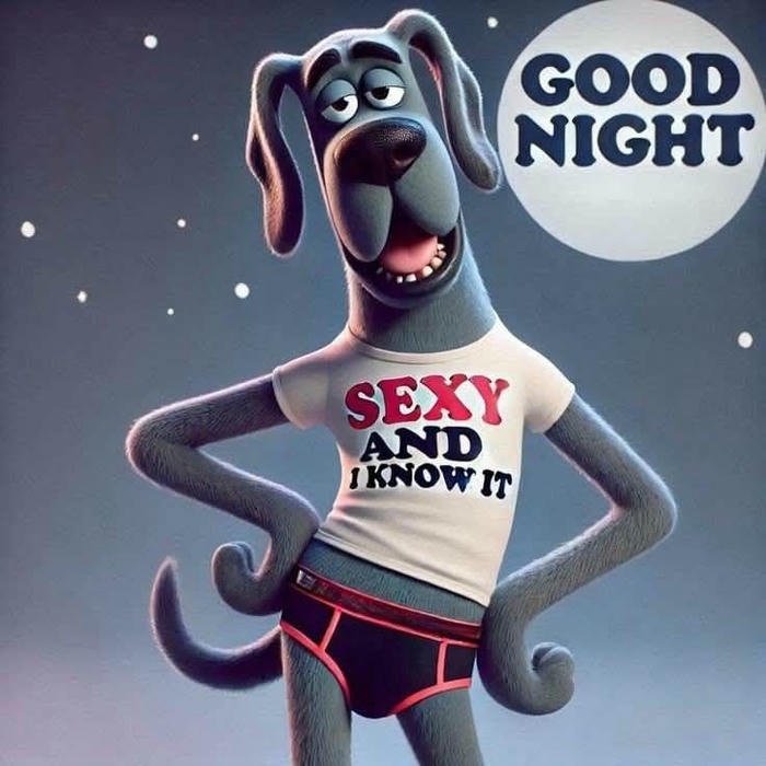 hilarious good night images