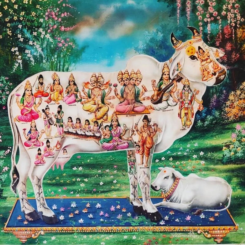 kamadhenu god images