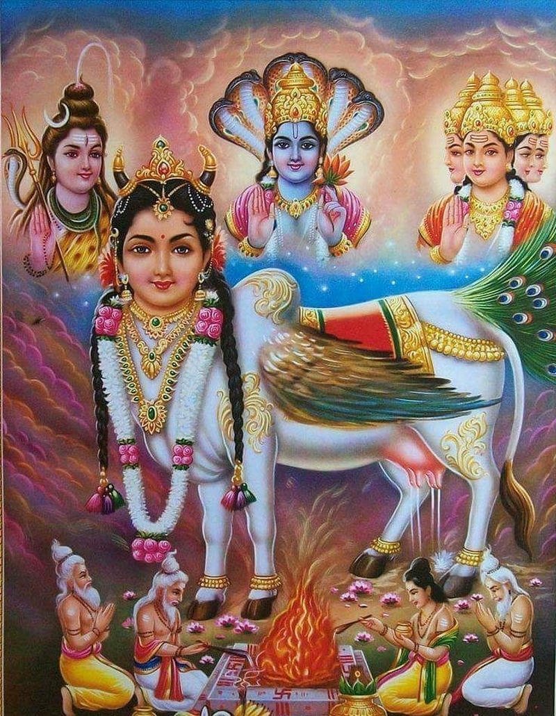 kamadhenu idols