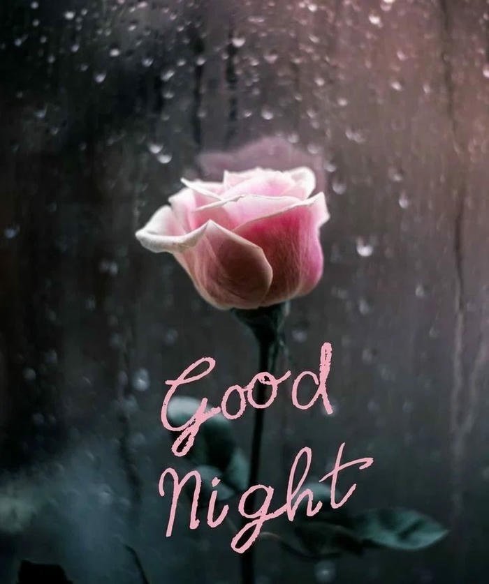 raining images good morning