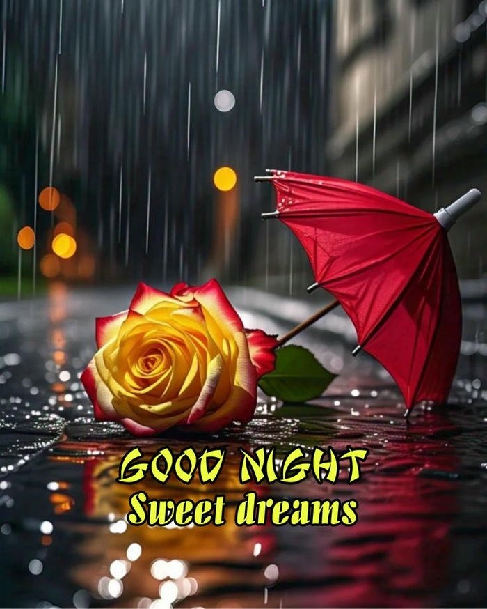 rainy morning pictures