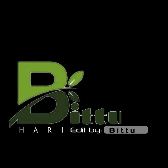 bittu name dp 1