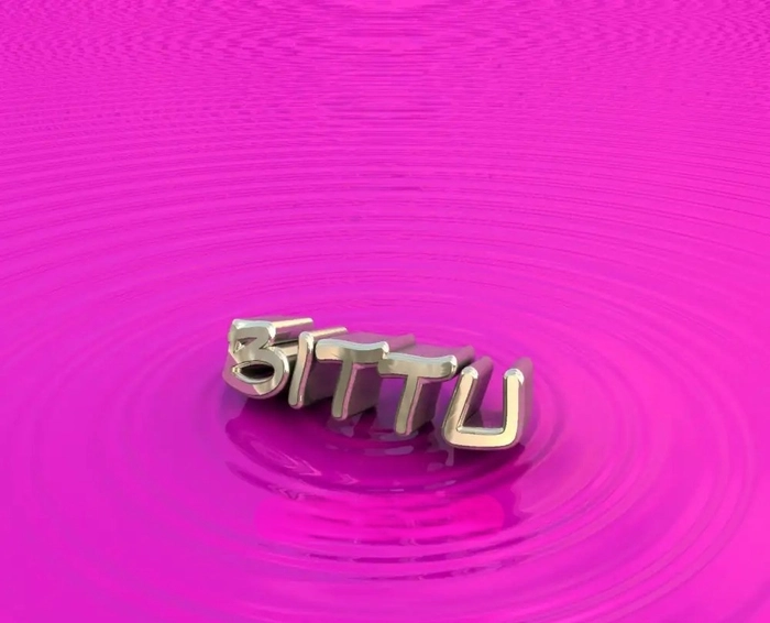 bittu name dp 12