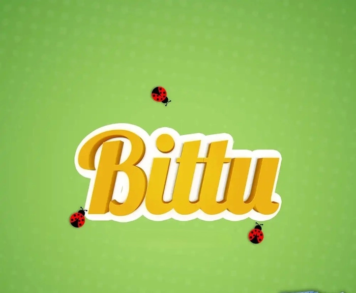 bittu name dp 18