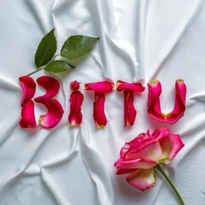 bittu name dp 20