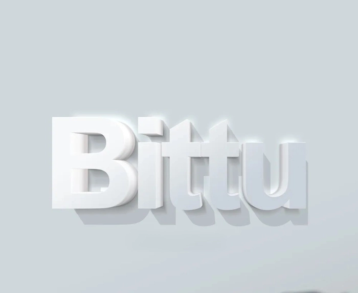 bittu name dp 24