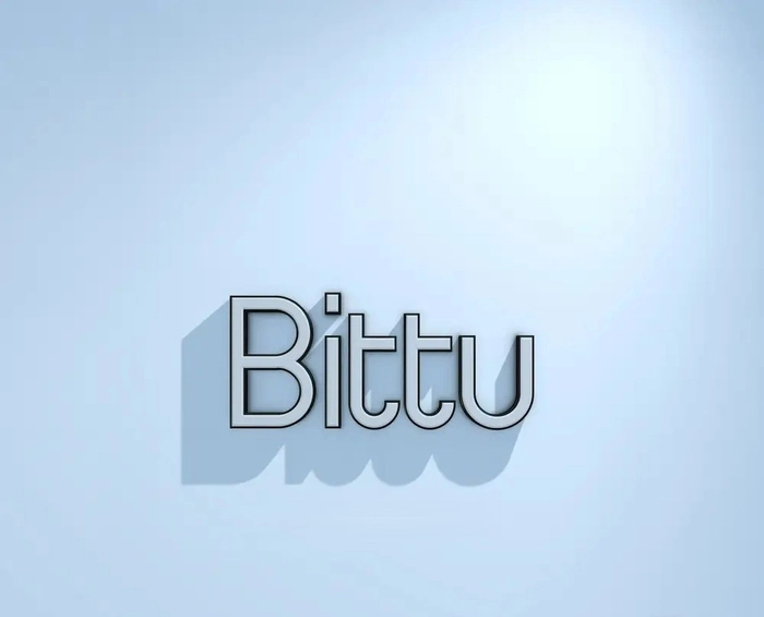 bittu name dp 29