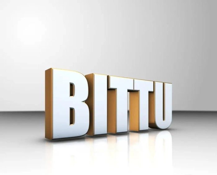 bittu name dp 31