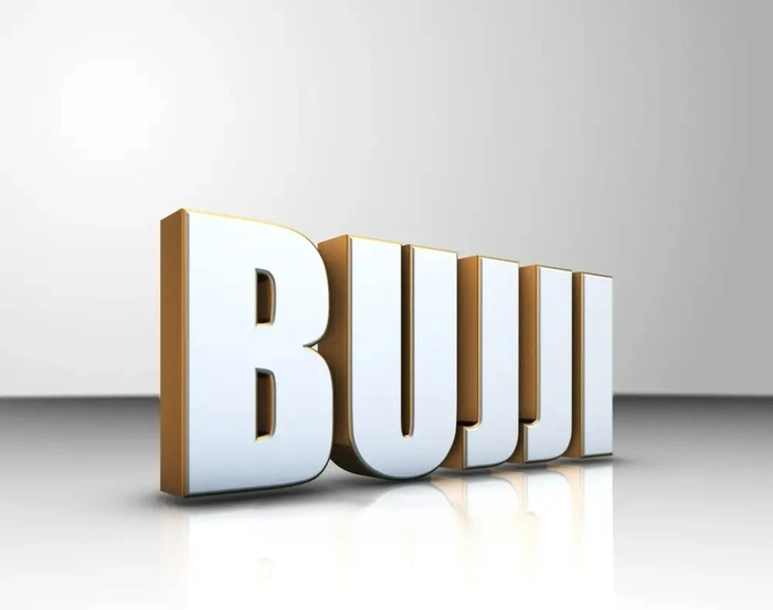 bujji name dp 21