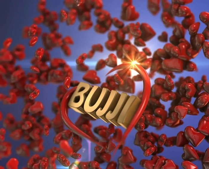 bujji name dp 26