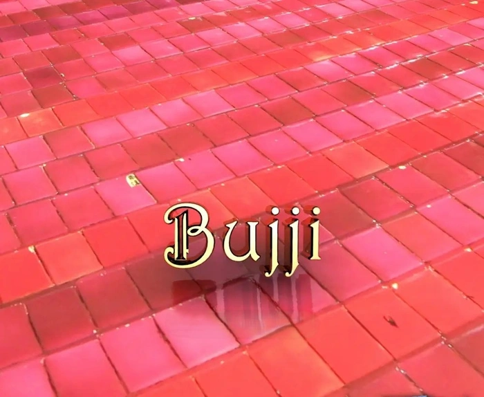 bujji name dp 9