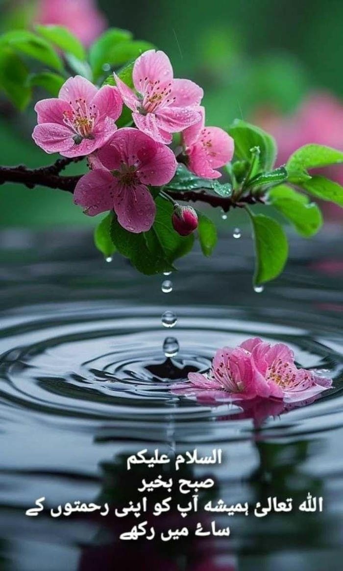 good morning images in urdu 16
