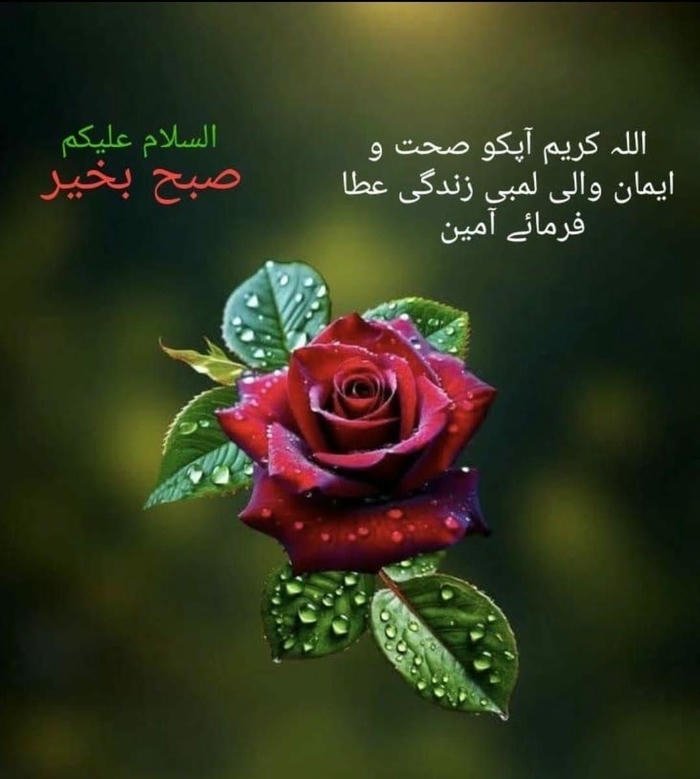 good morning images in urdu 29