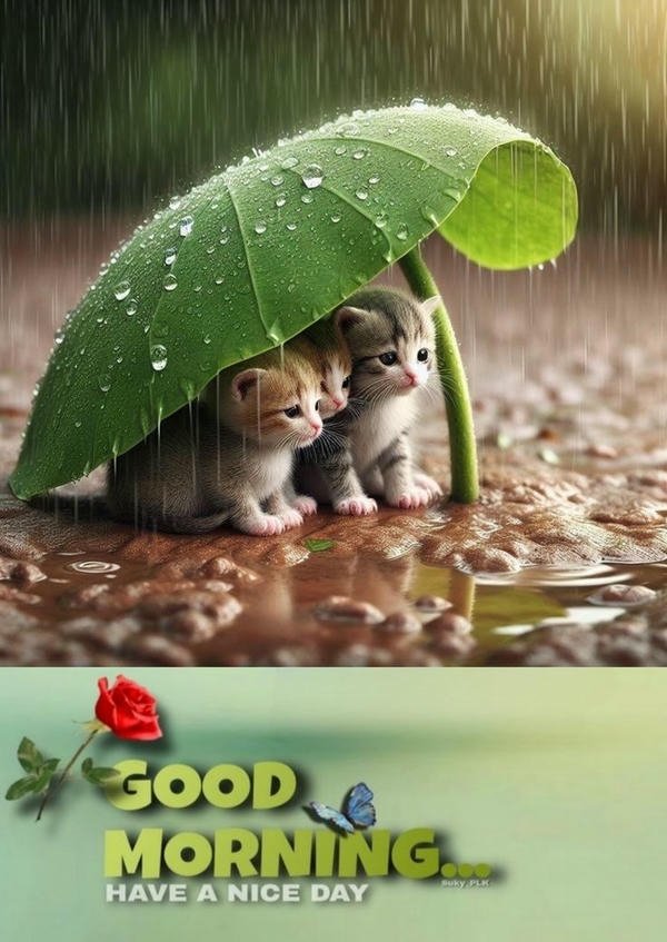 good morning images rain 14