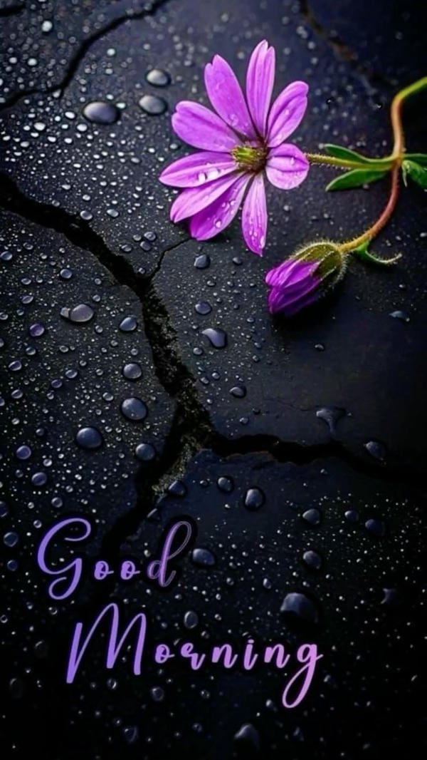 good morning images rain 21