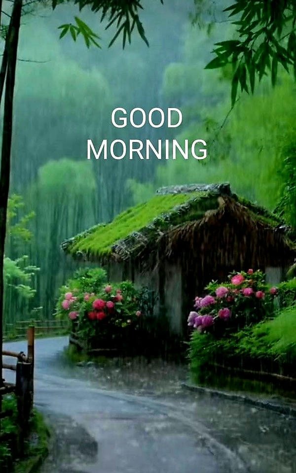 good morning images rain 24