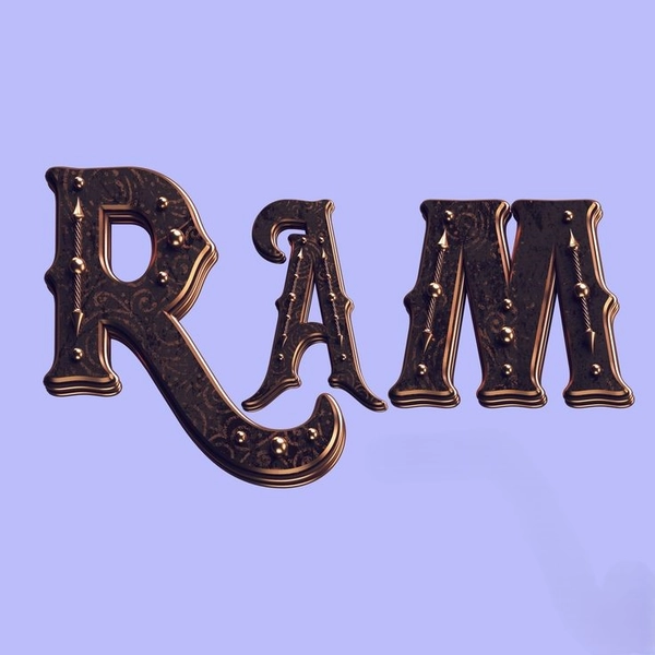 ram name dp 25