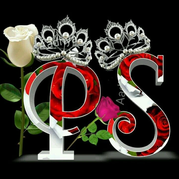 sp name dp 14