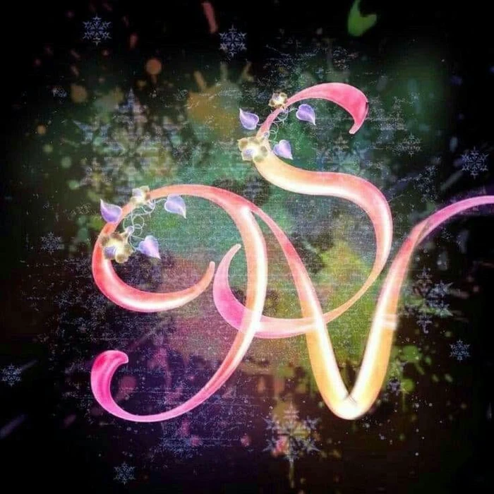 sp name dp 2