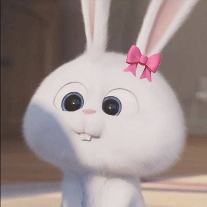 aesthetic cartoon dp aethetics rabbit