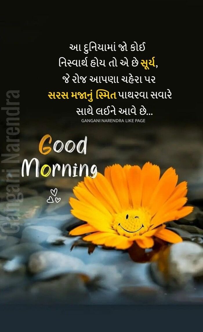 aethetics good morning gujarati full hd
