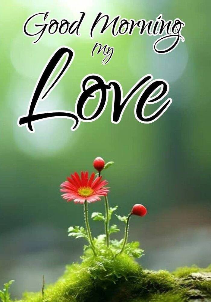 good morning darling image hd