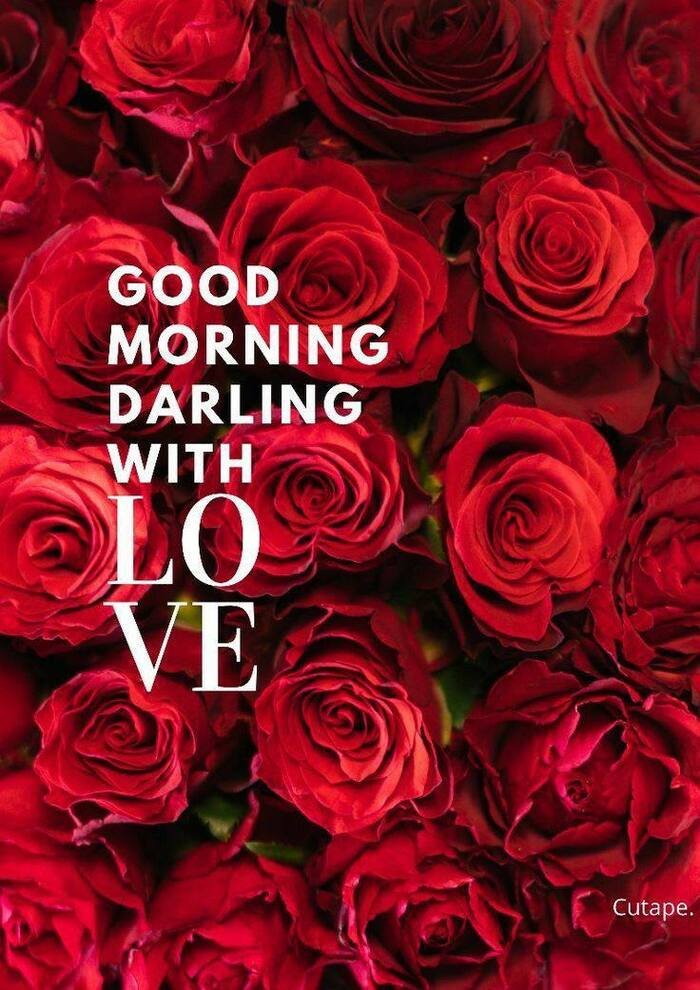 good morning darling image