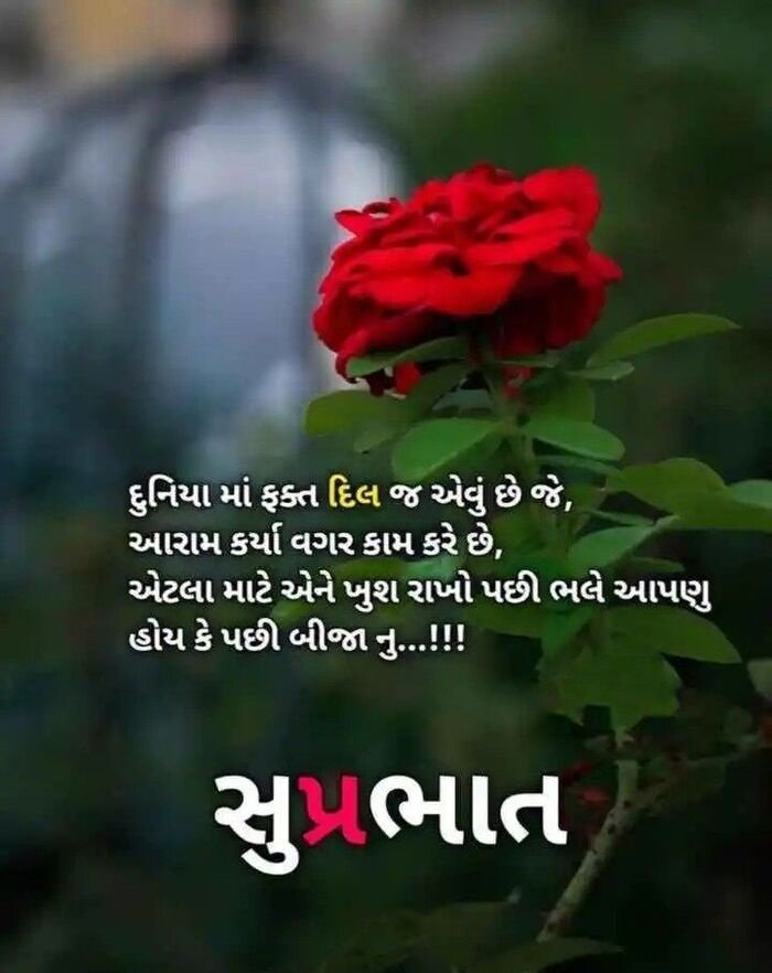 image hot good morning gujarati photo hd