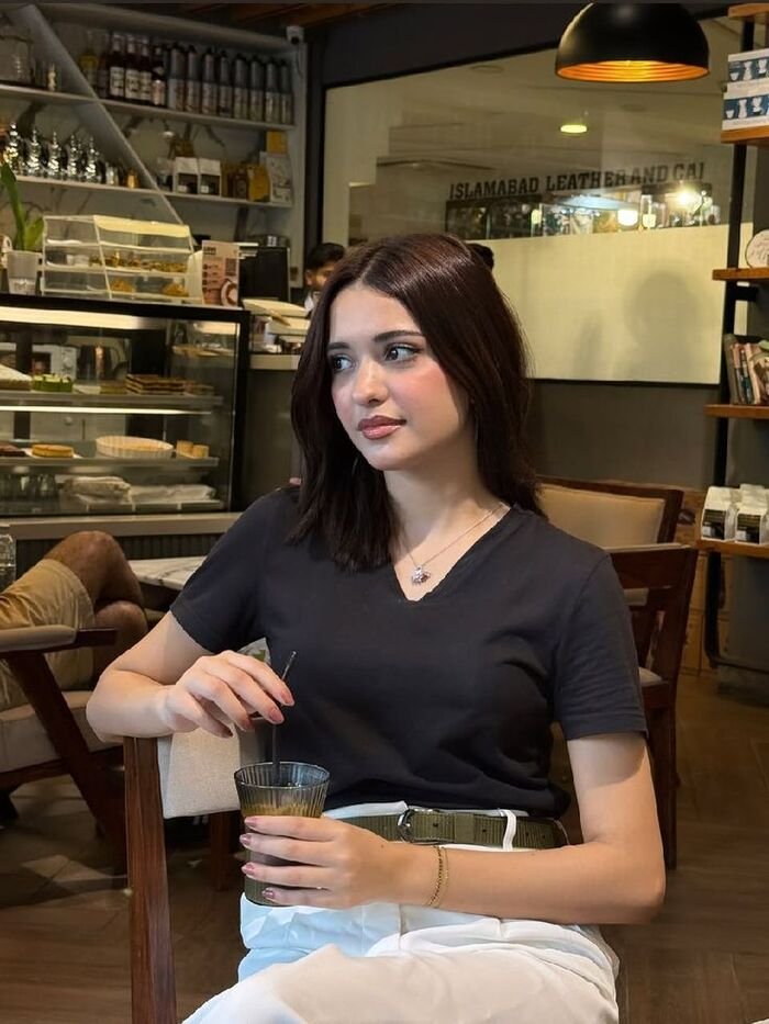 kashmiri girls dp aethetics hd