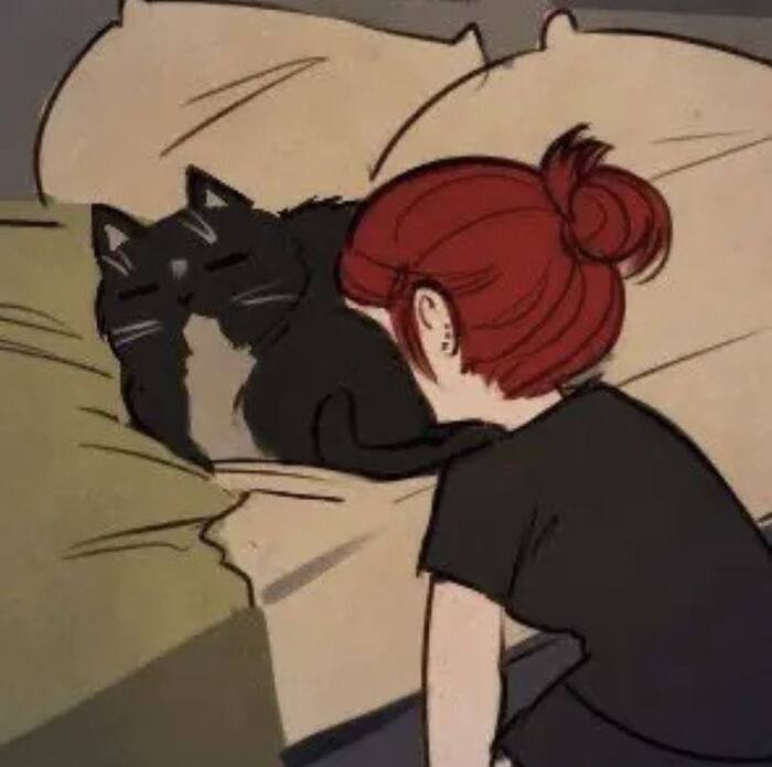 photo anime whatsapp dp hd