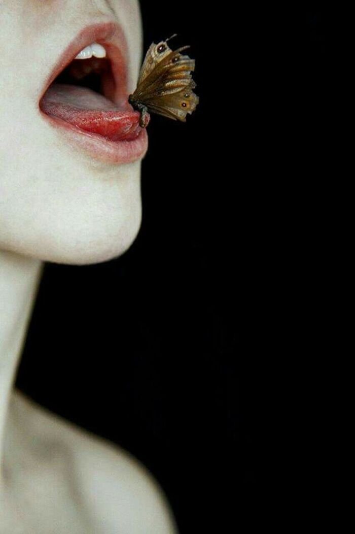 butterfly kisses images full hd ins
