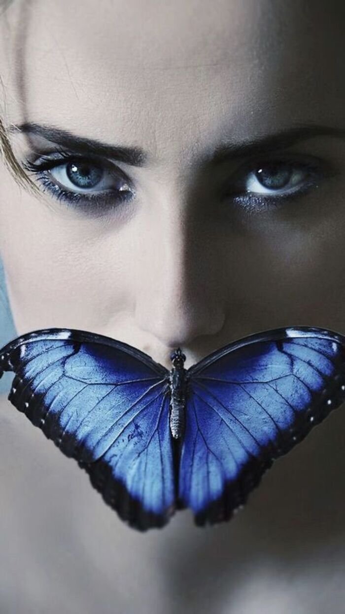 butterfly kisses images full size photo