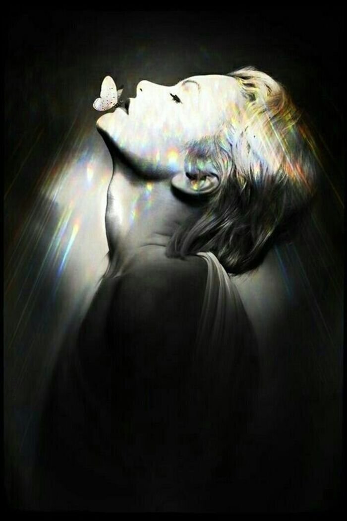 butterfly kisses images hd ins