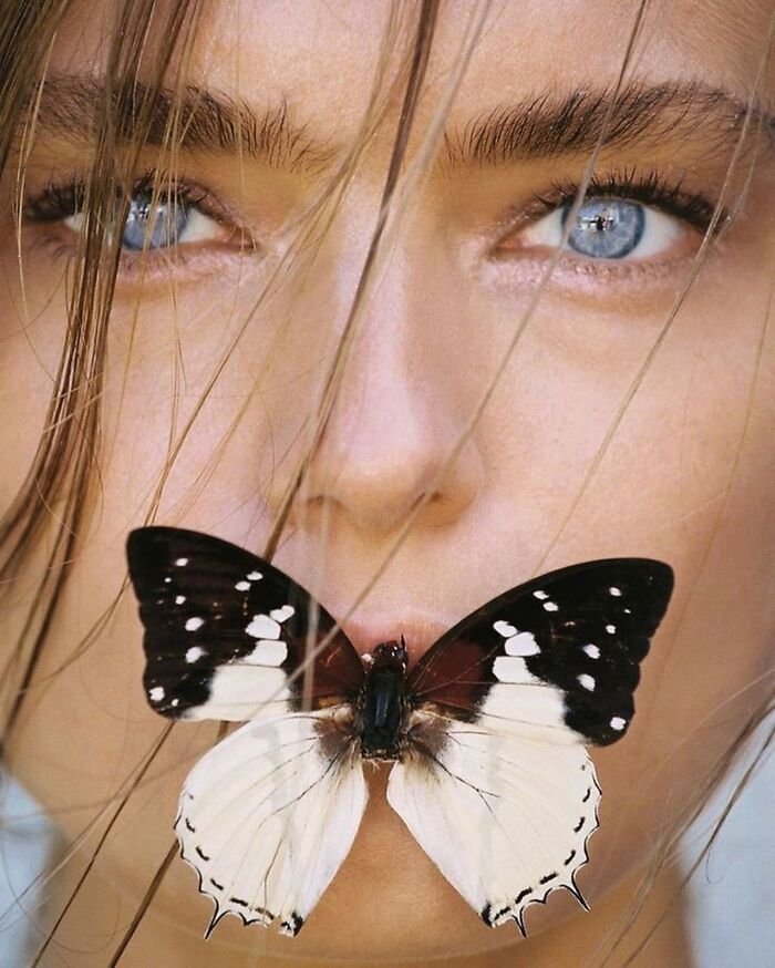 butterfly kisses images hd photo