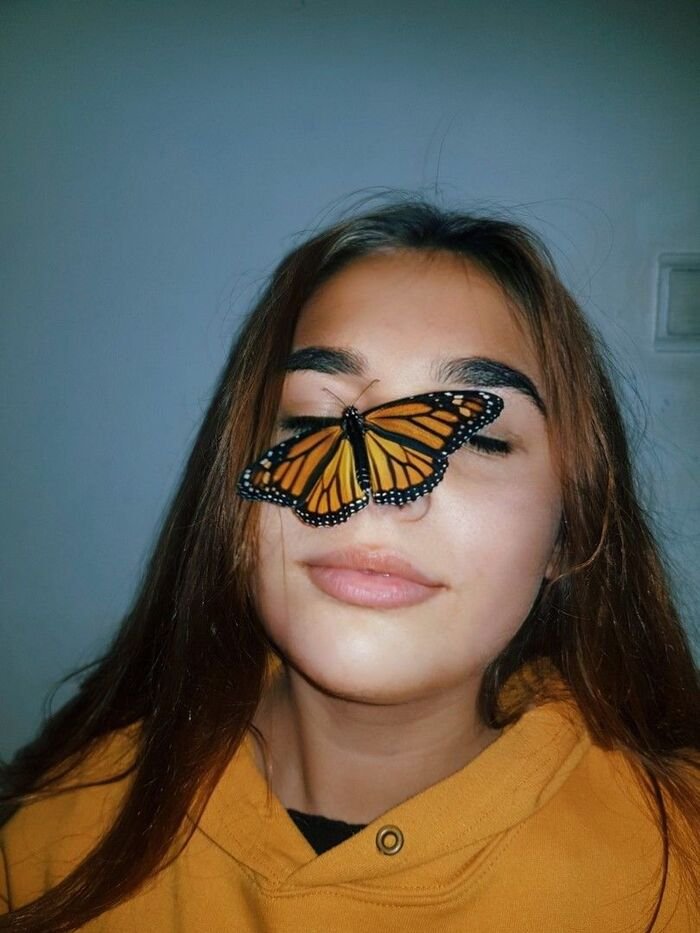 butterfly kisses images ig hd