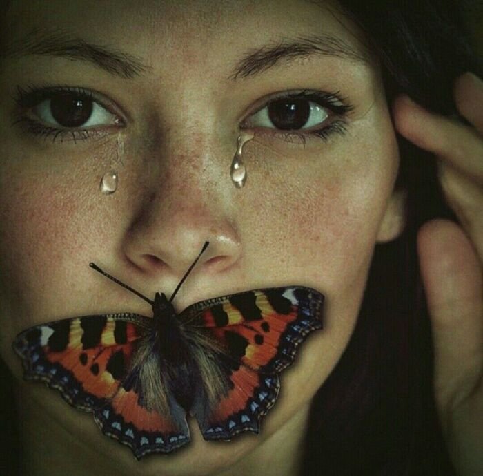 butterfly kisses images photo hd
