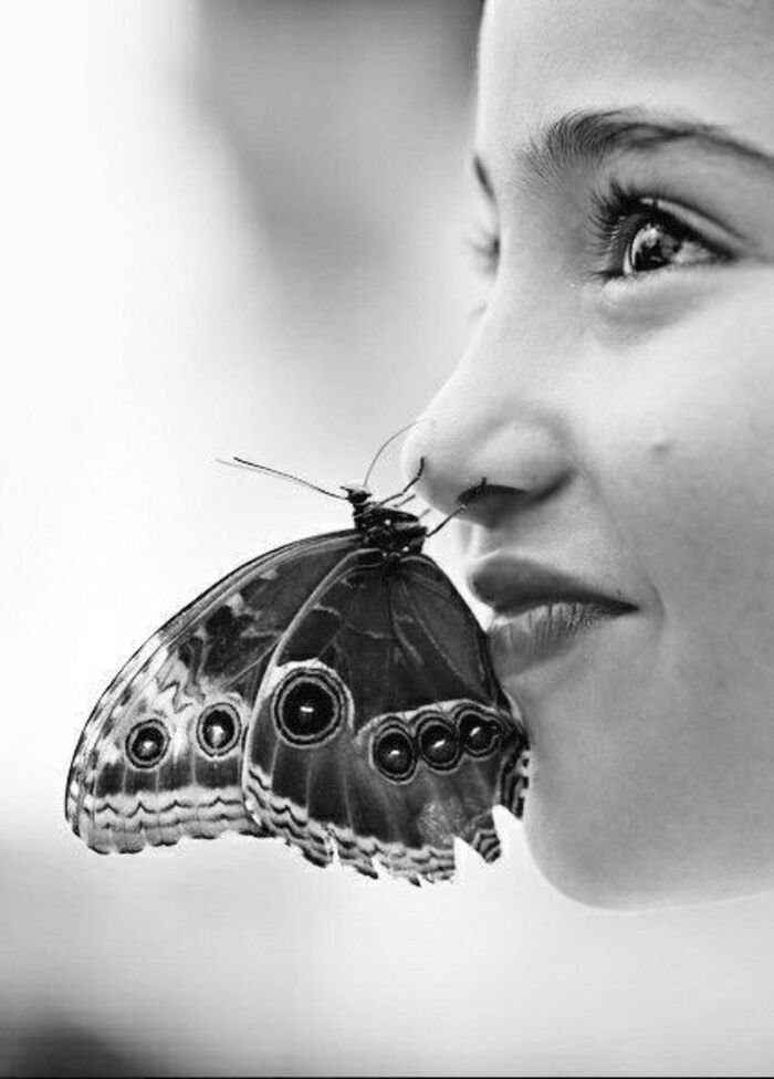 butterfly kisses images photo ig