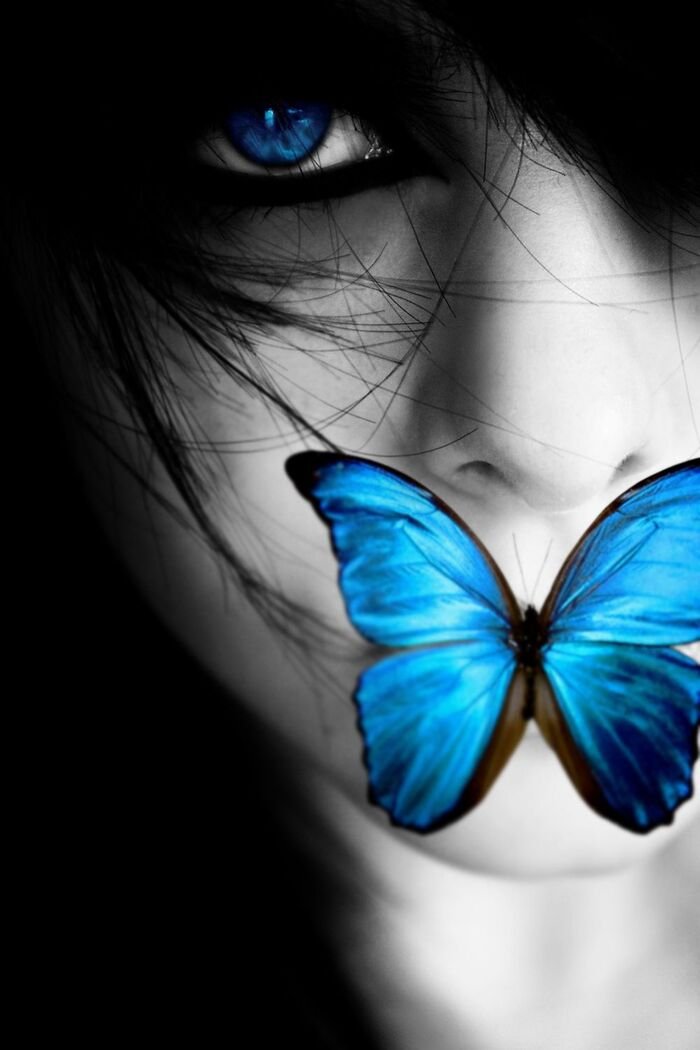 butterfly kisses images photo pinterest