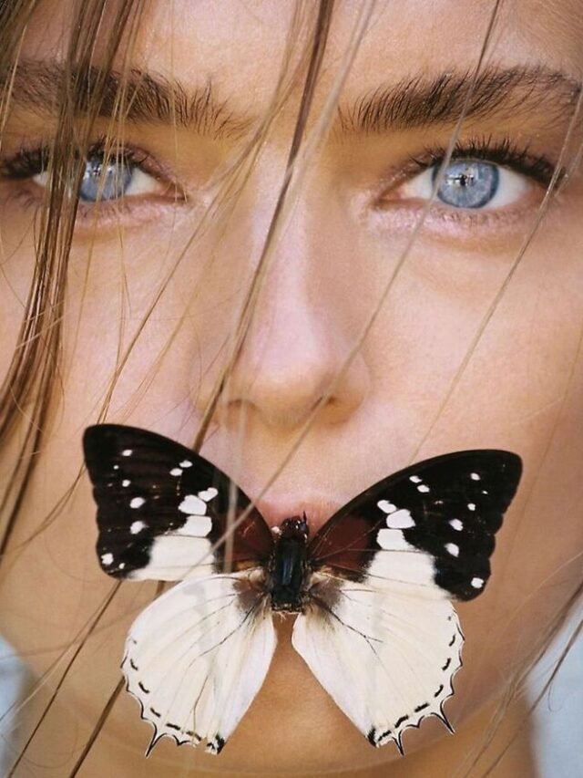 67+ Beautiful Butterfly Kisses Images That Warm the Heart