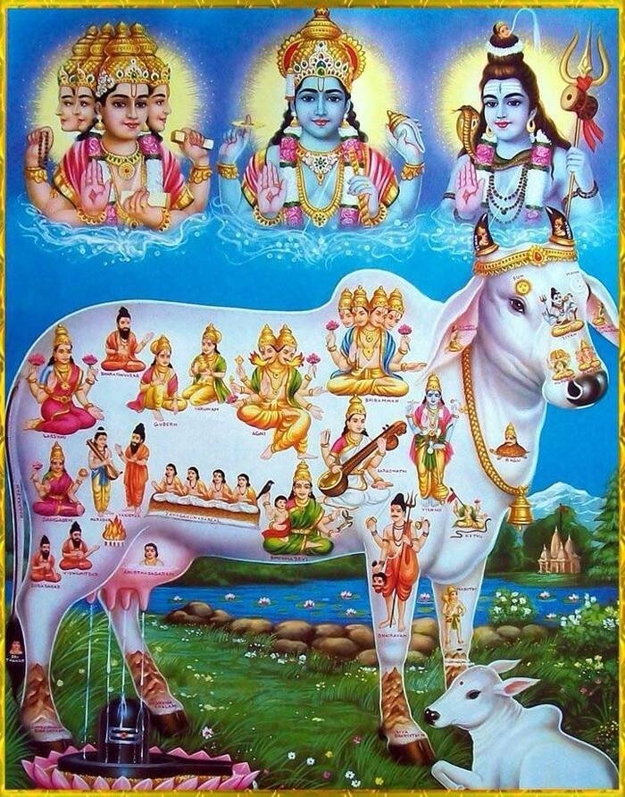 lord dakshinamurthy hd images nice 3k