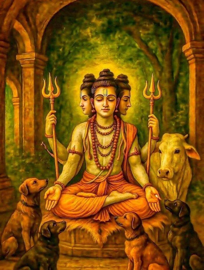 lord dalhousie images nice 5k